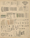 Abbildungen zu Oken’s Allgemeiner Naturgeschichte für alle Stände Pl.002 (1841)