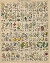 Abbildungen zu Oken’s Allgemeiner Naturgeschichte für alle Stände Pl.018 (1841)