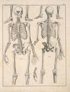 Abbildungen zu Oken’s Allgemeiner Naturgeschichte für alle Stände Pl.047 (1841)