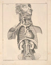 Abbildungen zu Oken’s Allgemeiner Naturgeschichte für alle Stände Pl.055 (1841)