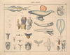 Abbildungen zu Oken’s Allgemeiner Naturgeschichte für alle Stände Pl.071 (1841)