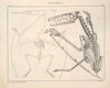 Abbildungen zu Oken’s Allgemeiner Naturgeschichte für alle Stände Pl.115 (1841)
