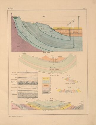 Abbildungen zu Oken’s Allgemeiner Naturgeschichte für alle Stände Pl.144 (1841)