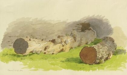Abgesägte Baumstämme vor einer Mauer in Oberwesel, September 13, 1858