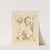 Abstract design based on flowers and arabesques. (1900) by Alphonse Mucha