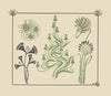 Abstract design based on flowers and pinecones