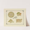 Abstract design based on leaves and organic shapes by George Auriol