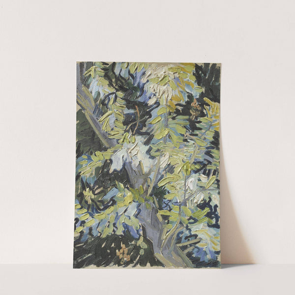 Acacia in Flowers by Vincent van Gogh