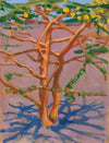 Acacia on the Savannah