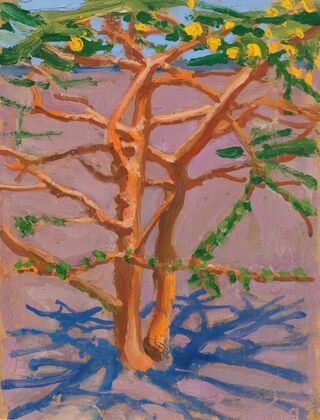 Acacia on the Savannah