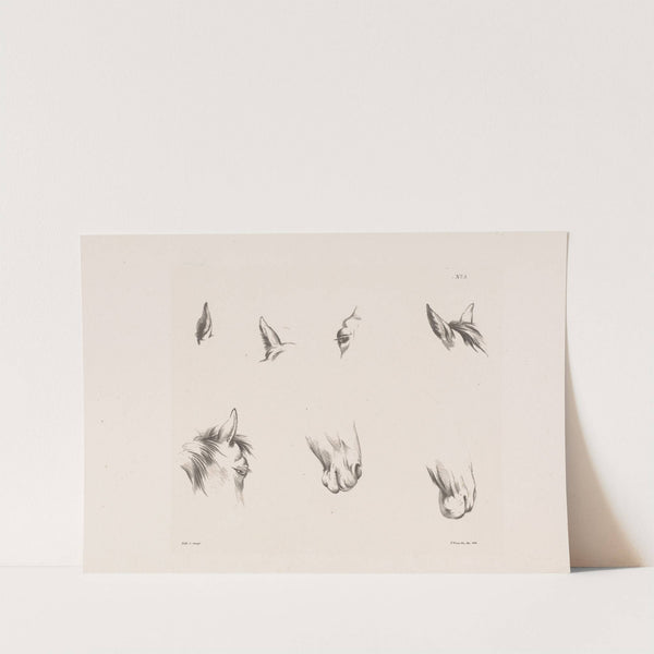 Acht studies van een paardenhoofd (1835) by Pieter Frederik van Os