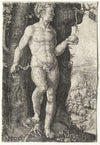 Adam (1526)