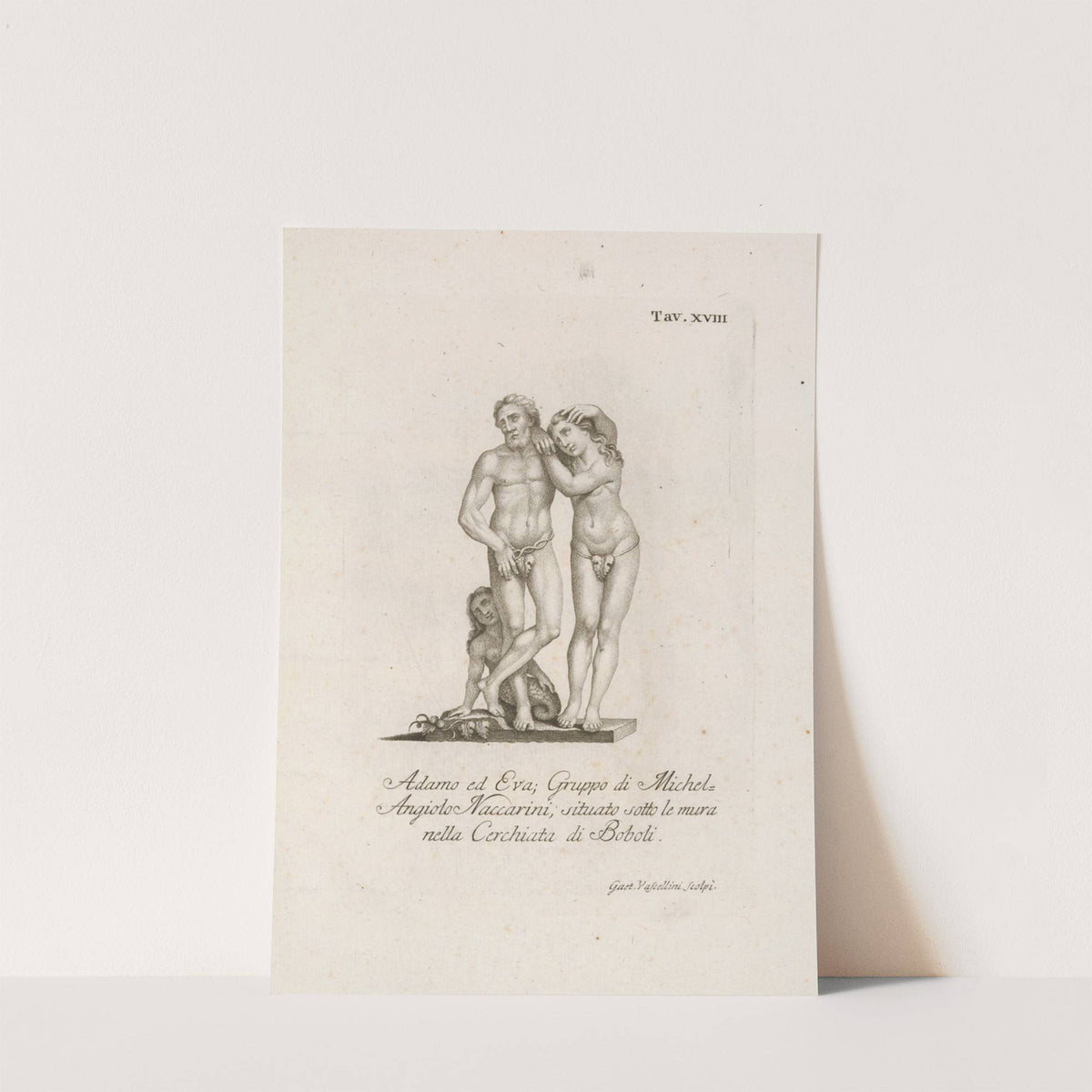 Adamo ed Eva; Gruppo di Michel Angiolo Naccarini, situato sotto le mura nella Cerchiata di Boboli. by Gaetano Vascellini