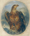 Adler