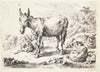 Æsel og geder