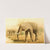 African Elephant (1893-1896) by Pierre Jacques Smit