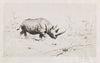 African Rhinoceros (1915-1924)