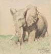 Afrikanischer Elefant in der Steppe (1922)