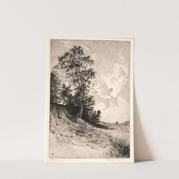 Afternoon by Rodney Thomson