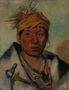 Ah-Yaw-Ne-Tak-Oár-Ron, a Warrior (1831)