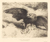 Aigle Liant un Lièvre (An Eagle Pouncing on a Hare)