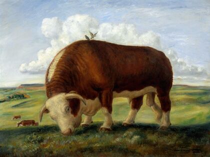 Ajax (1936-37)