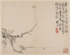 Album of Blossoming Plum Pl.3 (1742)