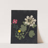 Album of cut-paper flowers Pl.03 by Ellen W.