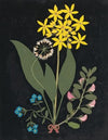 Album of cut-paper flowers Pl.04