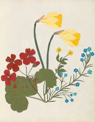 Album of cut-paper flowers Pl.05