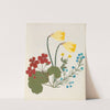 Album of cut-paper flowers Pl.05 by Ellen W.