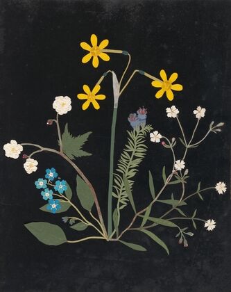 Album of cut-paper flowers Pl.06