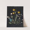 Album of cut-paper flowers Pl.06 by Ellen W.