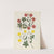 Album of cut-paper flowers Pl.08 by Ellen W.