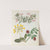 Album of cut-paper flowers Pl.13 by Ellen W.