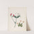 Album of cut-paper flowers Pl.23 by Ellen W.