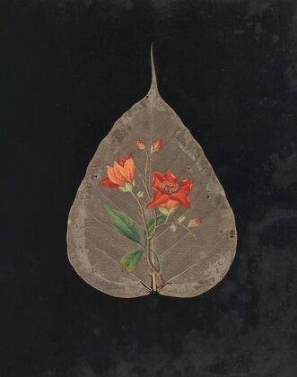Album of cut-paper flowers Pl.24