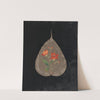 Album of cut-paper flowers Pl.24 by Ellen W.
