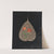Album of cut-paper flowers Pl.24 by Ellen W.