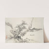 Album of Fifteen Ink Paintings Pl.11 (1850) by Hine Taizan