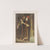 Album salón Pl.22 (1903) by Miguel Seguí (Publisher)