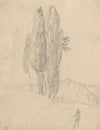 Album with Views of Rome and Surroundings, Landscape Studies, page 20a: Trees