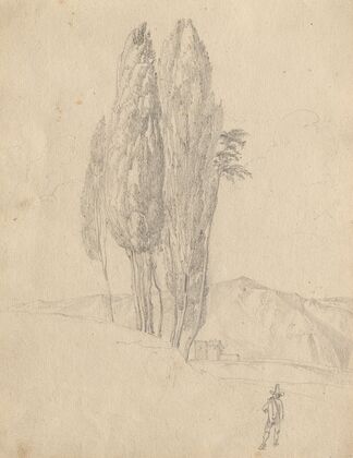Album with Views of Rome and Surroundings, Landscape Studies, page 20a: Trees