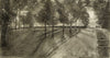 Allée bordée d’arbres dans un parc (1947)