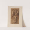 Allegorical drawing of liberty by P. &amp; D. Colnaghi