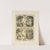 Allegorien und Embleme Vol. I Pl.029 by Albert Ilg