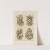 Allegorien und Embleme Vol. I Pl.172 by Albert Ilg