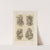 Allegorien und Embleme Vol. I Pl.172 by Albert Ilg
