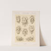 Allegorien und Embleme Vol. II Pl.041 by Albert Ilg