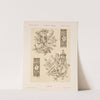 Allegorien und Embleme Vol. II Pl.097 by Albert Ilg